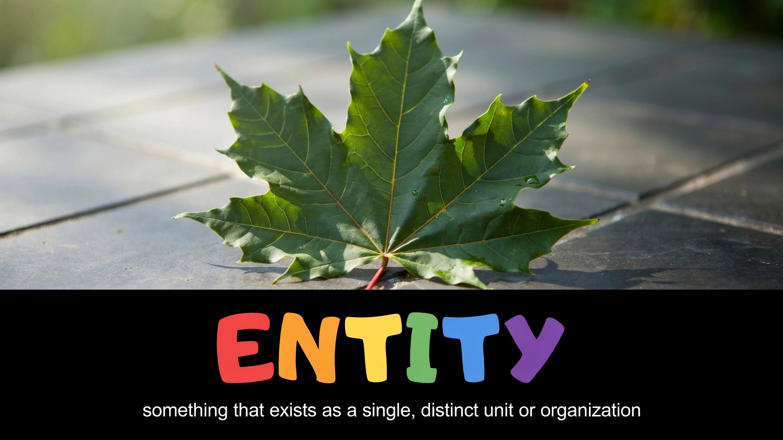 English Illustration for entity